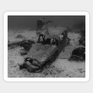 A Drug Smuggler's Wreck Sunken In The Bahamas Sticker